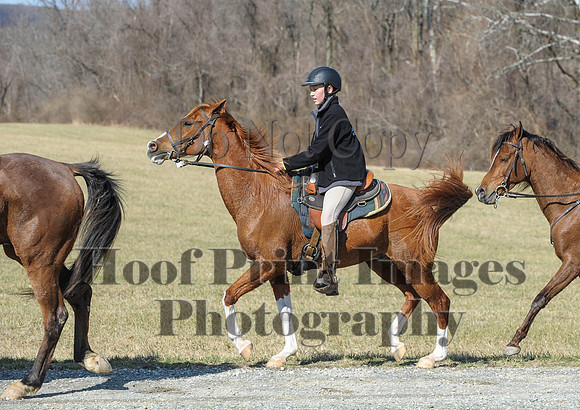 Chesapeake(4-4-15)0431