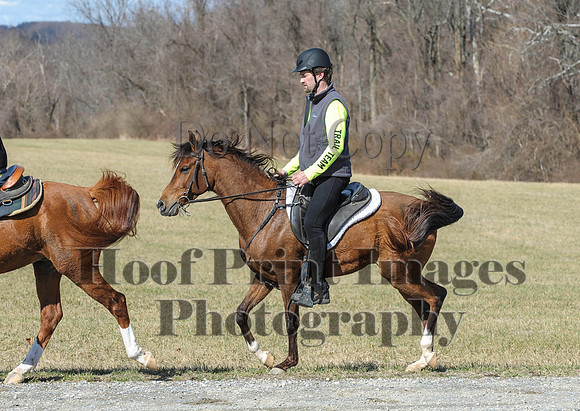 Chesapeake(4-4-15)0432
