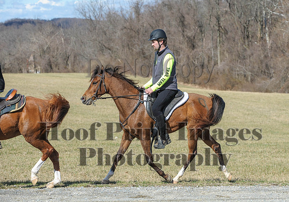 Chesapeake(4-4-15)0433
