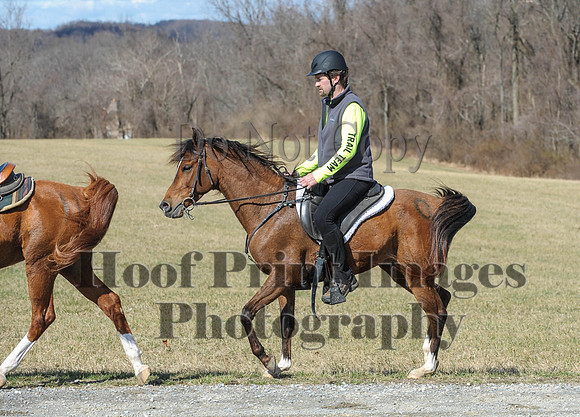 Chesapeake(4-4-15)0434