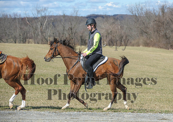 Chesapeake(4-4-15)0435