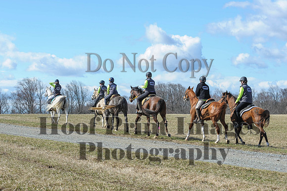 Chesapeake(4-4-15)0436