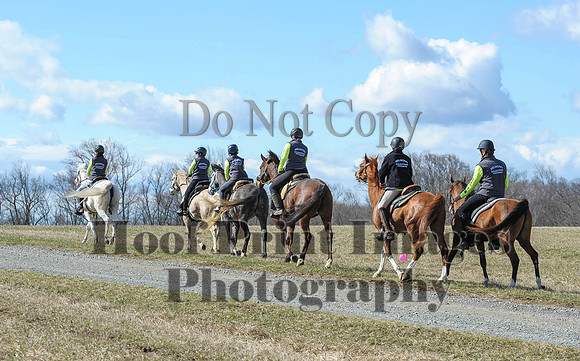Chesapeake(4-4-15)0438