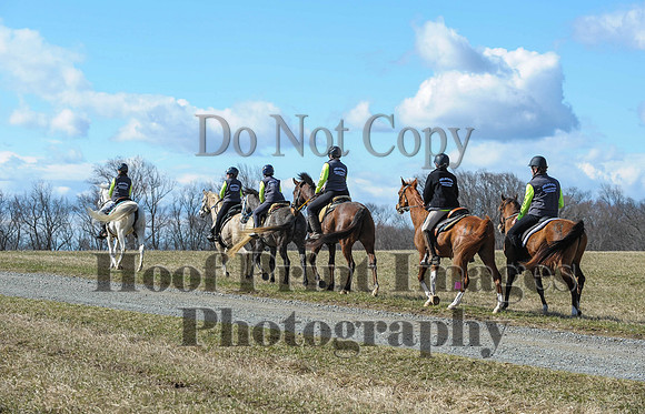 Chesapeake(4-4-15)0439