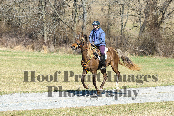 Chesapeake(4-4-15)0440