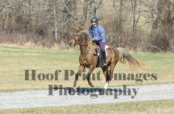 Chesapeake(4-4-15)0441