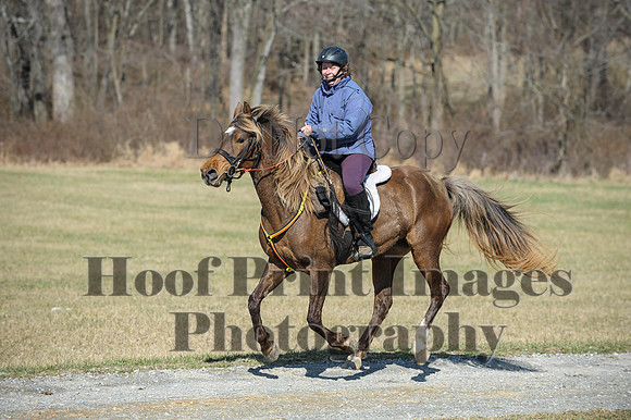 Chesapeake(4-4-15)0442