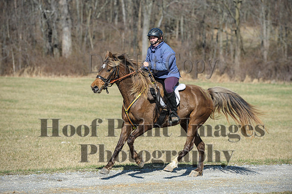 Chesapeake(4-4-15)0443