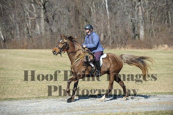 Chesapeake(4-4-15)0444