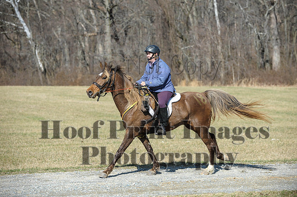 Chesapeake(4-4-15)0445