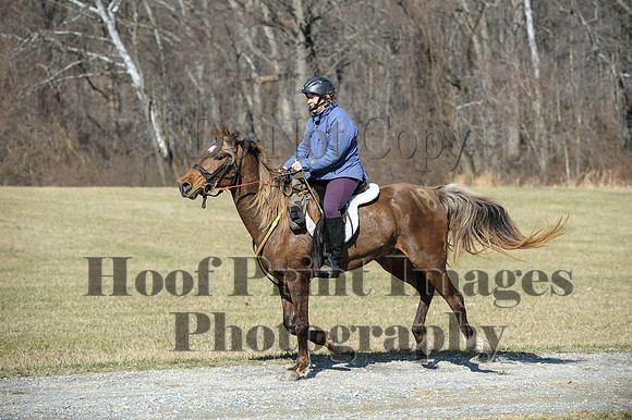 Chesapeake(4-4-15)0446