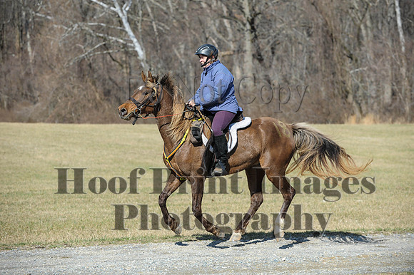 Chesapeake(4-4-15)0447