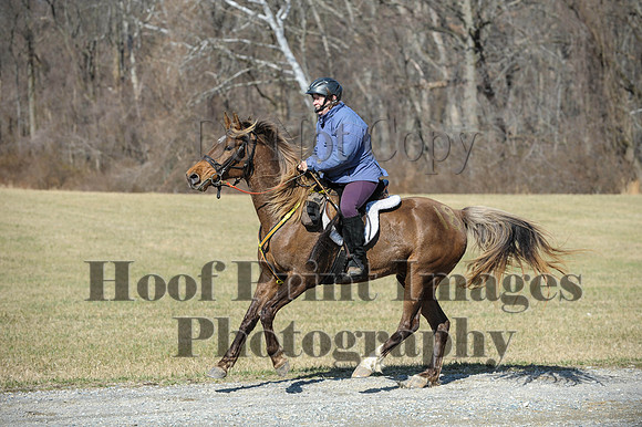 Chesapeake(4-4-15)0448
