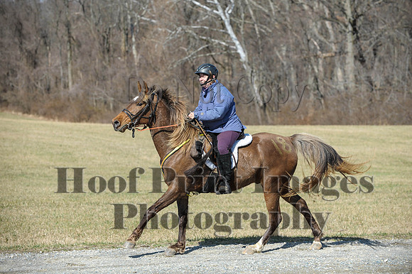 Chesapeake(4-4-15)0449