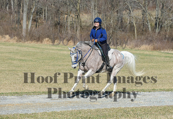 Chesapeake(4-4-15)0451
