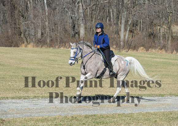 Chesapeake(4-4-15)0452
