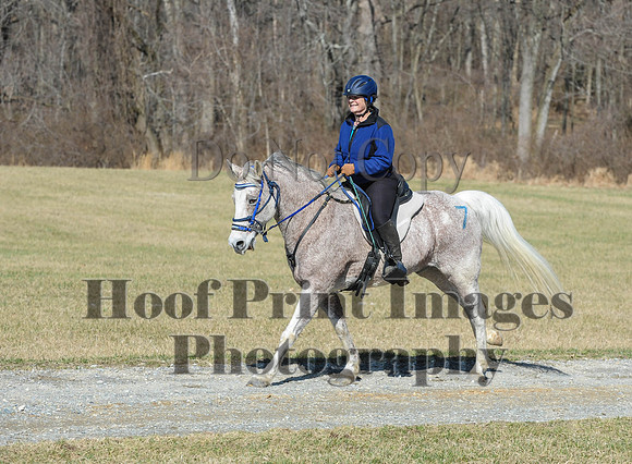 Chesapeake(4-4-15)0453