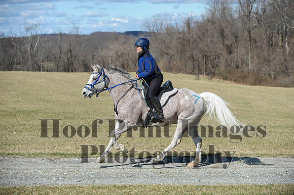 Chesapeake(4-4-15)0456