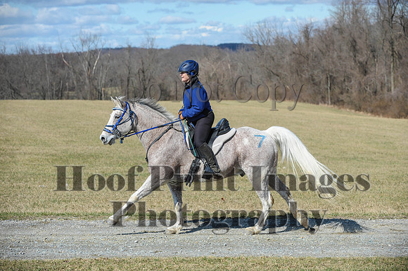 Chesapeake(4-4-15)0457