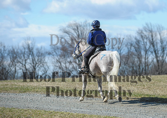 Chesapeake(4-4-15)0460