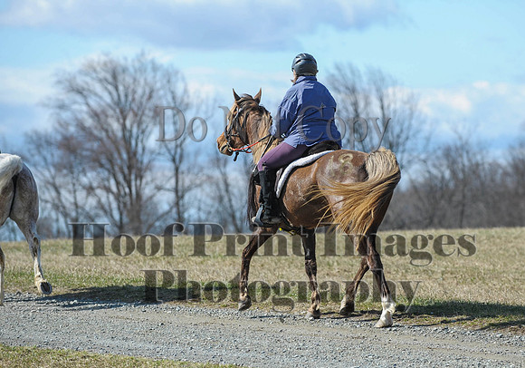 Chesapeake(4-4-15)0461