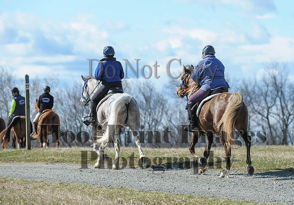 Chesapeake(4-4-15)0463