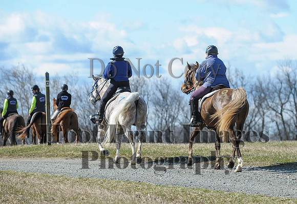 Chesapeake(4-4-15)0464