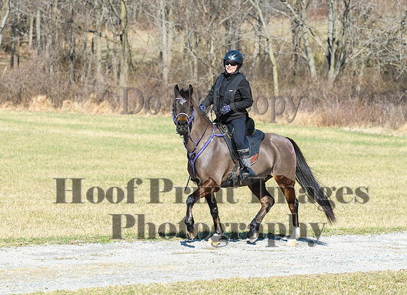 Chesapeake(4-4-15)0465