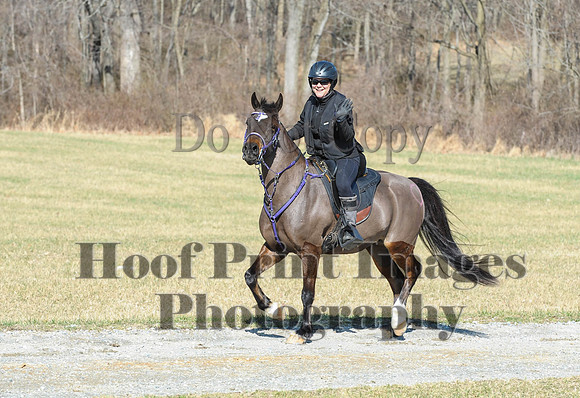 Chesapeake(4-4-15)0468
