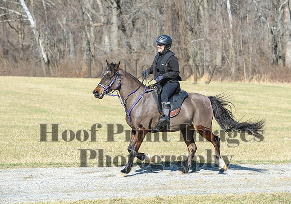 Chesapeake(4-4-15)0469