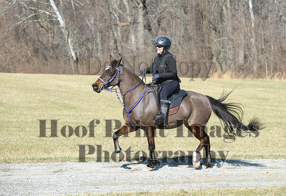 Chesapeake(4-4-15)0470
