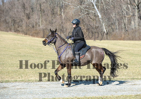 Chesapeake(4-4-15)0471