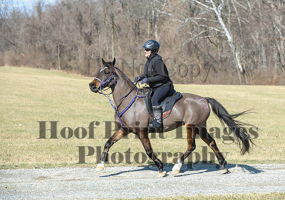 Chesapeake(4-4-15)0472