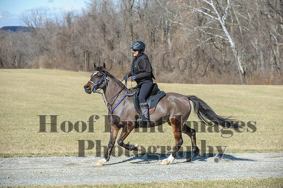 Chesapeake(4-4-15)0473