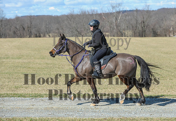 Chesapeake(4-4-15)0474