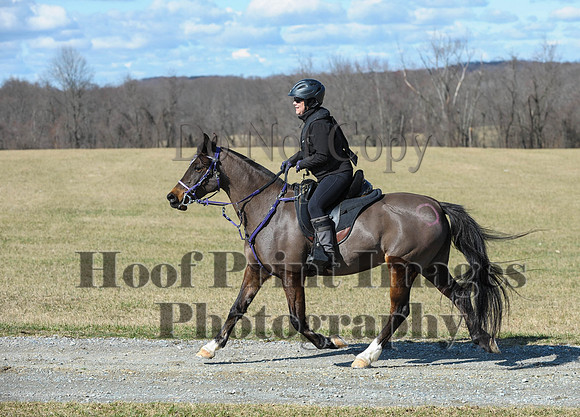 Chesapeake(4-4-15)0475