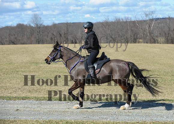 Chesapeake(4-4-15)0476