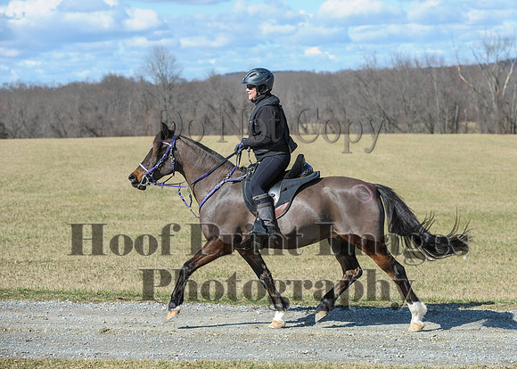 Chesapeake(4-4-15)0477
