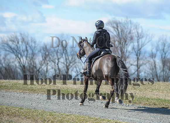 Chesapeake(4-4-15)0478