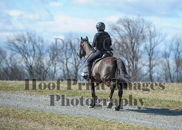 Chesapeake(4-4-15)0479