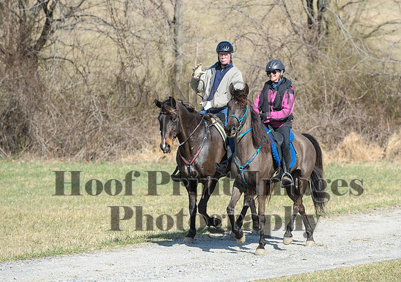 Chesapeake(4-4-15)0480