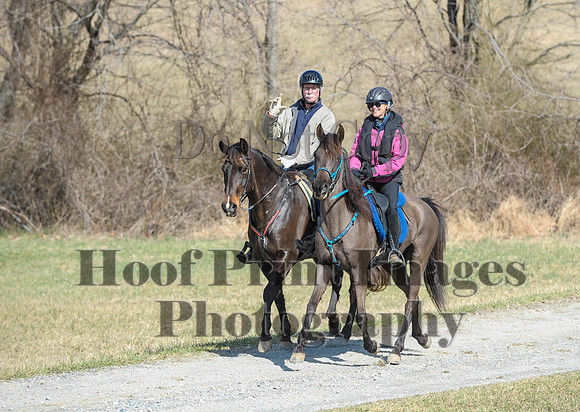 Chesapeake(4-4-15)0481