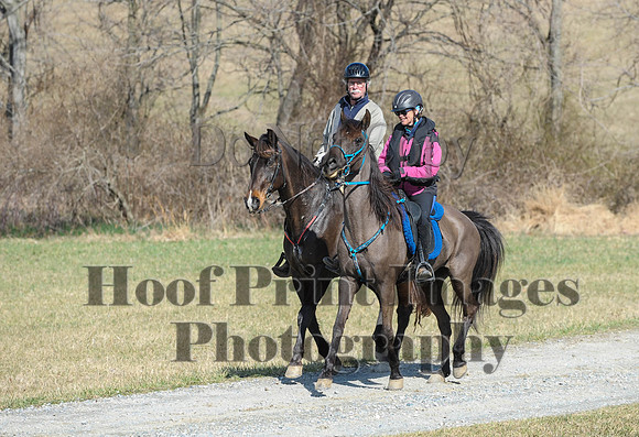 Chesapeake(4-4-15)0482