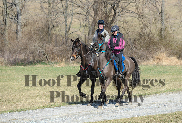 Chesapeake(4-4-15)0483
