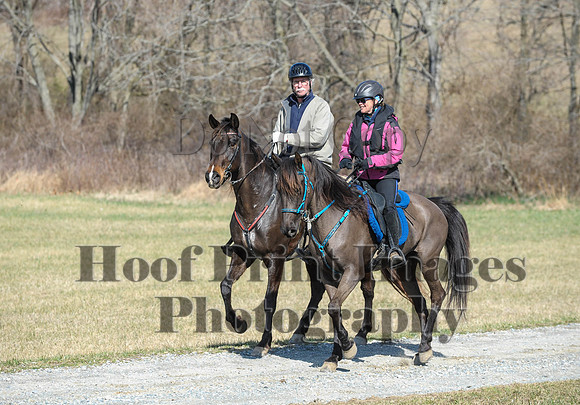 Chesapeake(4-4-15)0484