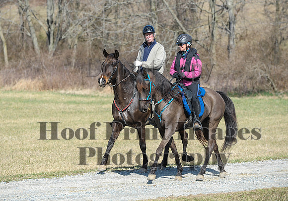 Chesapeake(4-4-15)0485