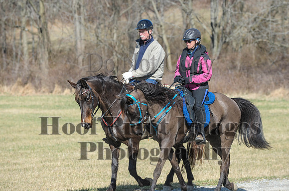 Chesapeake(4-4-15)0486