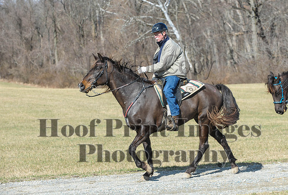 Chesapeake(4-4-15)0488
