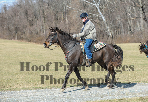 Chesapeake(4-4-15)0489