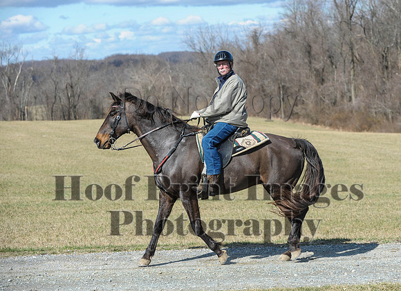 Chesapeake(4-4-15)0490